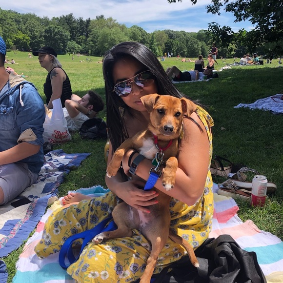 Meet your Posher, Katrina - Picture 2 of 3